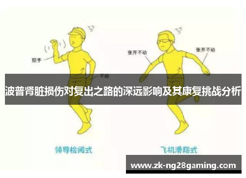 波普肾脏损伤对复出之路的深远影响及其康复挑战分析