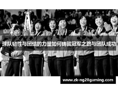 球队韧性与团结的力量如何铸就冠军之路与团队成功