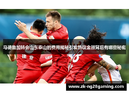马德鲁加转会山东泰山的费用揭秘引发热议金额背后有哪些秘密