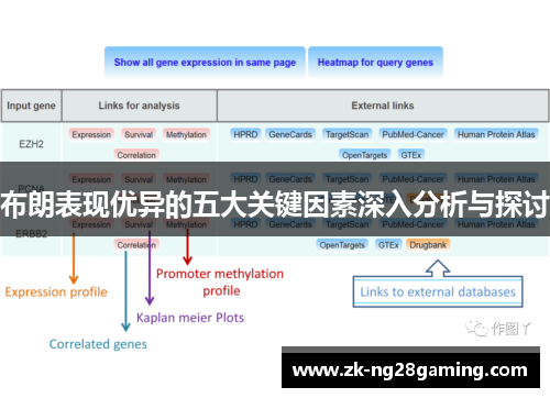 布朗表现优异的五大关键因素深入分析与探讨