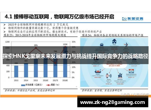 探索HNK戈里察未来发展潜力与挑战提升国际竞争力的战略路径